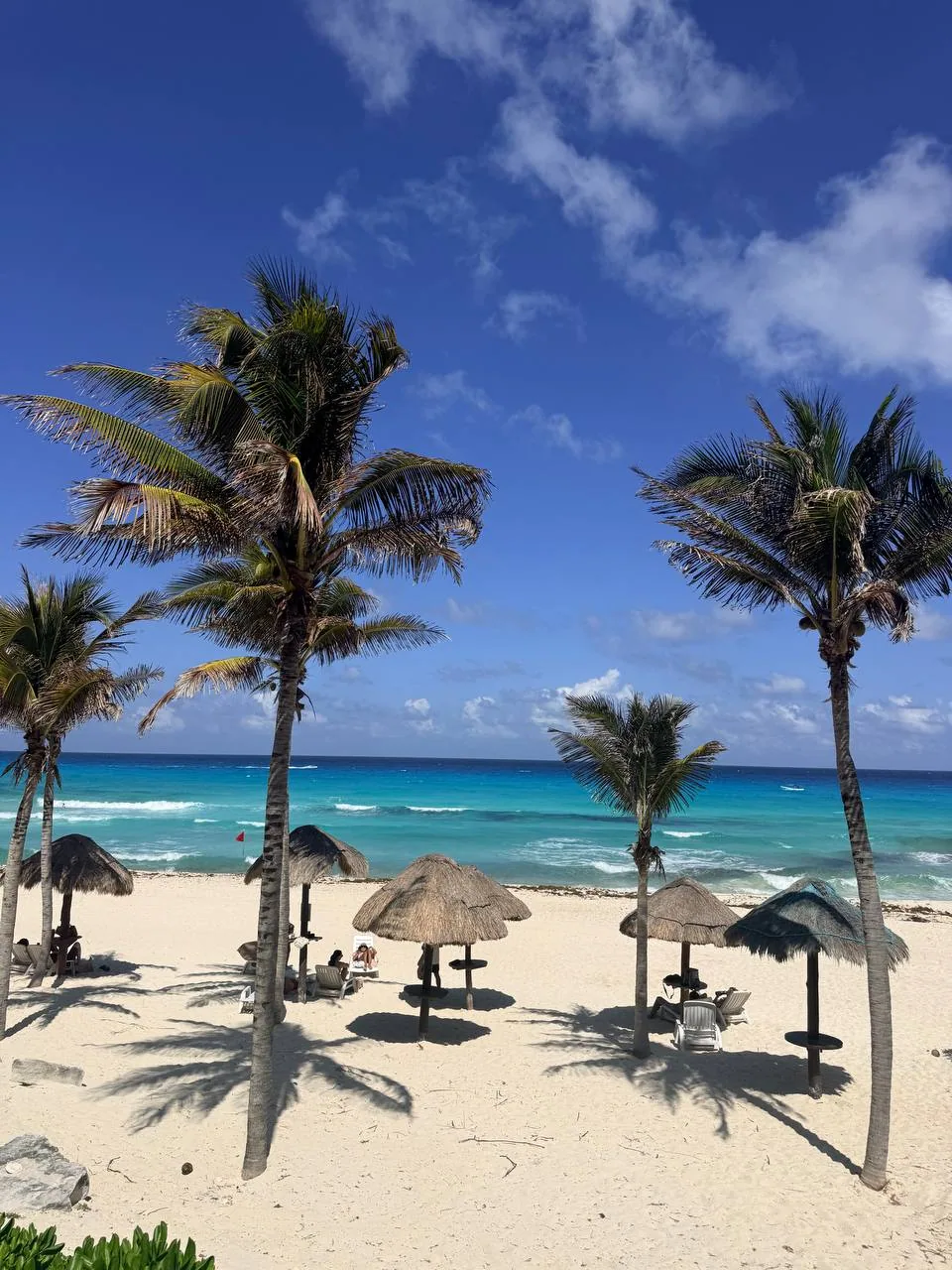 All inclusive beach club avec palmiers, palapas et mer turquoise
